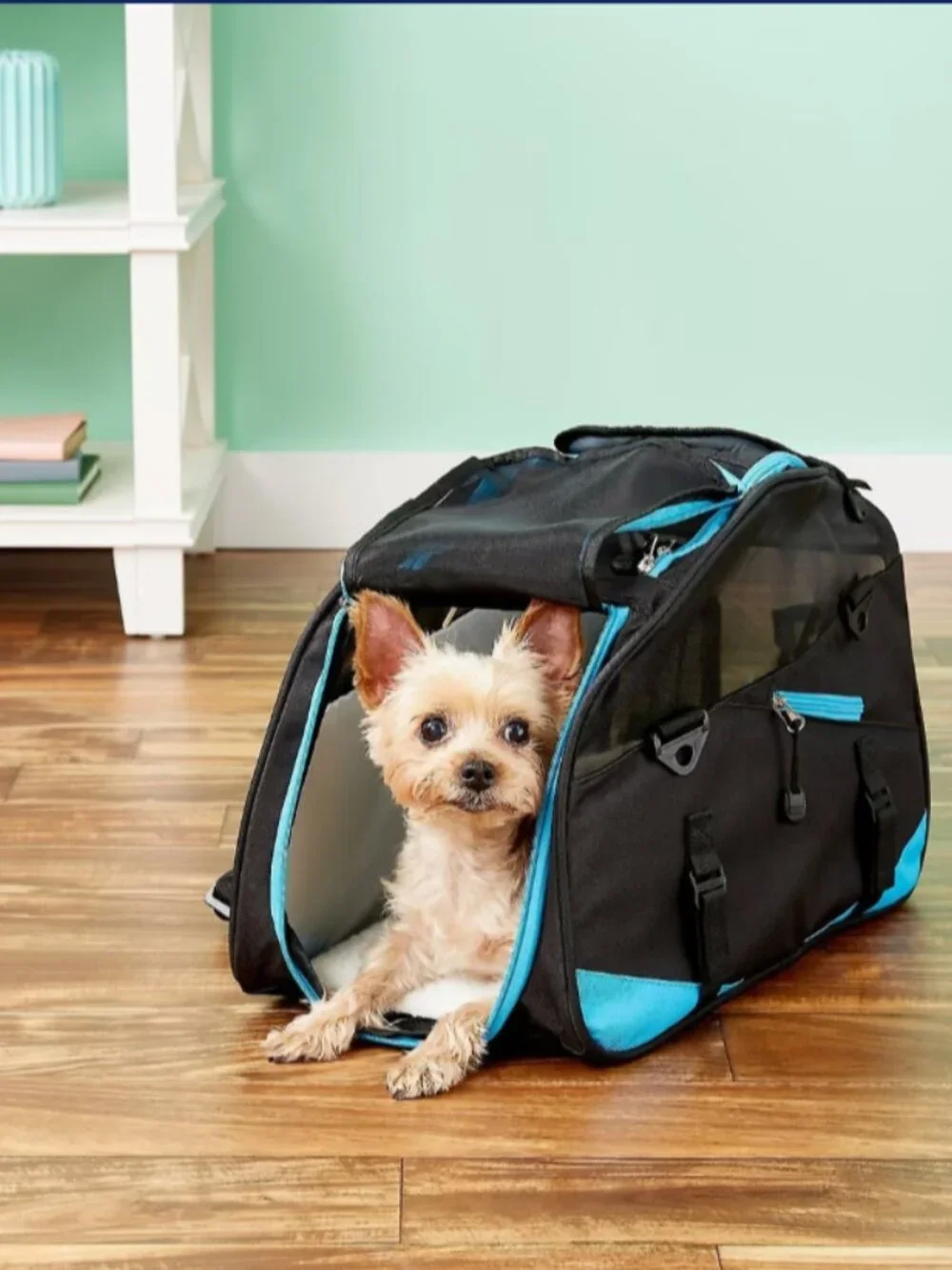 Bergan Voyager Airline-Approved Dog & Cat Carrier Bag, Medium/Large, Black